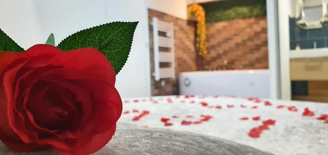 Love Rooms De La Presqu'Ile Saint-Vincent-de-Paul  Dış mekan fotoğraf